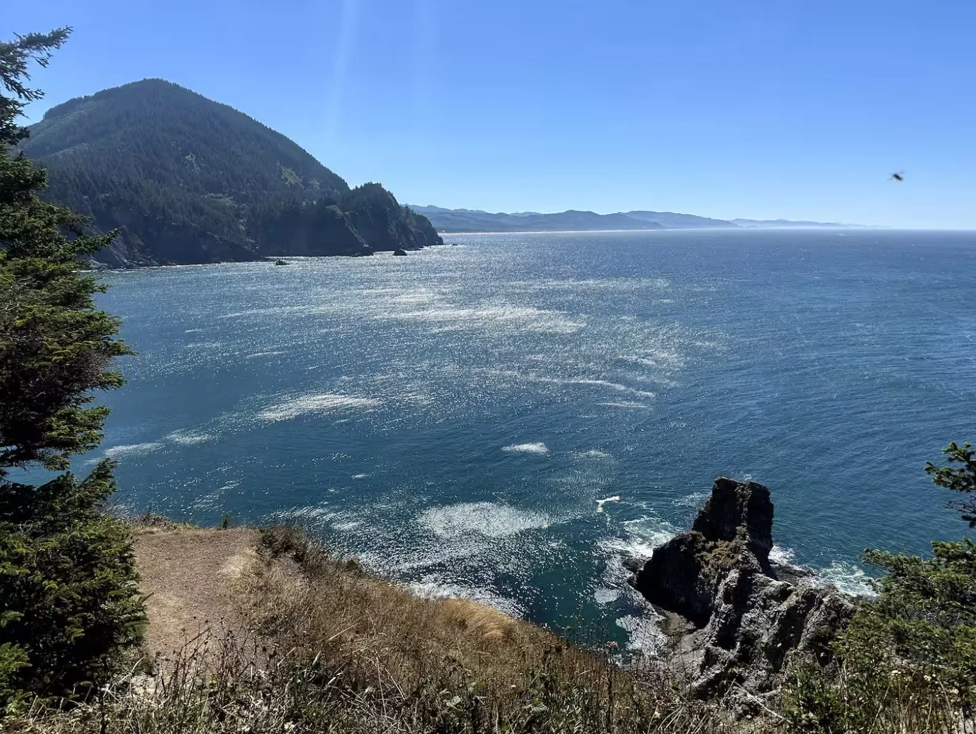 Cliff trail overlooking sea stacks